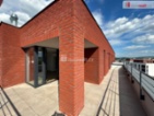 pronájem 3+1/terasa 90 m2+ 52 m2 +