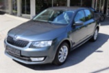 Škoda Octavia, 1. majitel, servis jen Škoda !,
