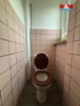 Pronájem bytu 2+1, 64 m², Dobřany, ul. Stromořadí