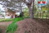 Prodej chaty, 25 m², Zdiby, ul. U Rybníka