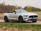 Ford Mustang, 5,0 GT 331KW Aut. Convertible,