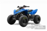 CFMOTO, Gladiator X110 LE