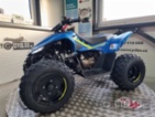 CFMOTO, Gladiator X110 LE