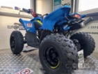 CFMOTO, Gladiator X110 LE