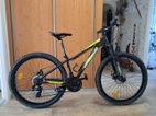 Kolo Arcore METRIK 26 DISC