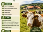 Hledám práci na venkově