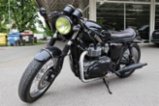 Triumph Bonneville, silniční sportovní