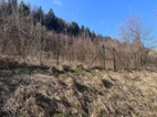 Prodej zahrady 1 002 m², Vsetín – Hrbová