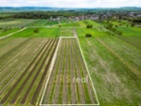 Prodej pozemku 3 474 m² - Březí.Ve výhradním
