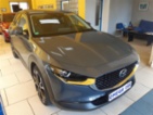 Mazda CX-30, 2.0i e-SKYATIVE  X LED NAVI, SUV,
