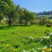 Štěpánov nad Svratkou, stavební parcela,  539,