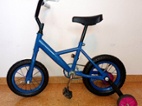 Dětské kolo Bluerider