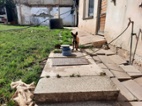 Prodej štěňat belg. ovčáků 