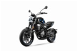 CFMOTO 300 CL-X, nakedbike