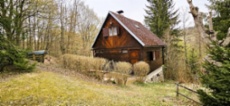 Luxusní 2+kk v srdci vinařského kraje – Rezidence Bulhary