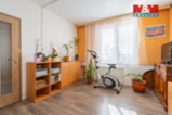 Prodej bytu 4+1, 109 m², Mladošovice