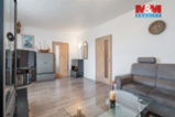 Prodej bytu 4+1, 109 m², Mladošovice