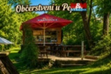 Prodej komerčního pozemku, 804 m², Kácov