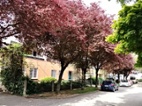 Prodej nebytového prostoru 31m2