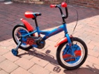 Capriolo Mustang vel. 16