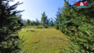 Prodej chalupy, 46 m², Brandov, ul. Rudé armády