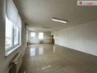 Komerční prostory 450m2, Dubňany