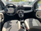 Fiat Panda, Multijet 1.3 16V 4X4, hatchback, nafta