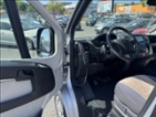 Peugeot, nafta