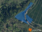 Prodej 1/6 pozemků 907 m2.