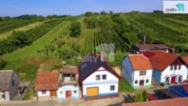 Prodej, vinný sklep s apartmánem, 1