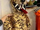 Maskot TYGR
