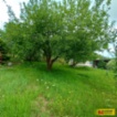 Moravská Třebová, chata 3+kk, zahrada 404m2,