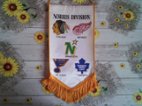 Vlajky klubů NHL+odznak LA Kings