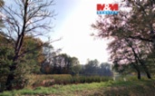Prodej louky, 7011 m², Petrovice