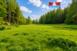 Prodej louky, 1522 m², Bor