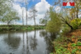 Prodej chaty, 56 m², Šťáhlavy