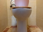 Wc pro invalidy