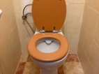 Wc pro invalidy