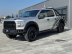 Ford F-150, 5.0 V8 283kW Raptor Kit