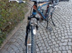 Kolo alpina