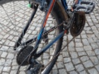 Kolo alpina