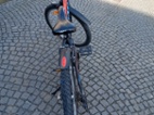 Kolo alpina