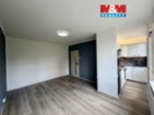 Prodej bytu 1+kk, 27 m², K. H. Borovského, Most