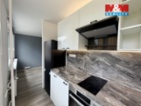 Prodej bytu 1+kk, 27 m², K. H. Borovského, Most