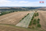 Prodej ovocného sadu, 5202 m², Kralupy nad Vltavou