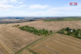 Prodej ovocného sadu, 5202 m², Kralupy nad Vltavou