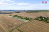 Prodej ovocného sadu, 5202 m², Kralupy nad Vltavou