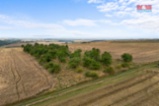 Prodej ovocného sadu, 5202 m², Kralupy nad Vltavou