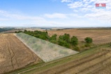 Prodej ovocného sadu, 5202 m², Kralupy nad Vltavou