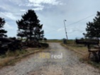 Prodej komerčního objektu 902 m² - Přibice.Ve